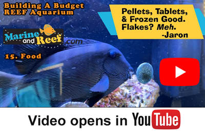 Saltwater Aquarium Fish Pellet Foods