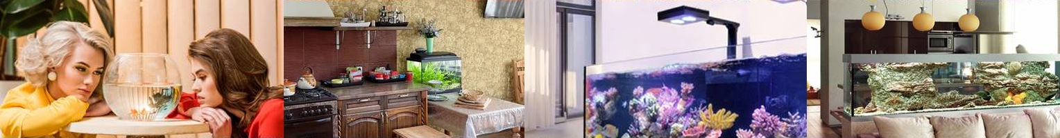 Four types of home aquariums: fishbowl, countertop tank, reef aquarium and room-divider aquarium