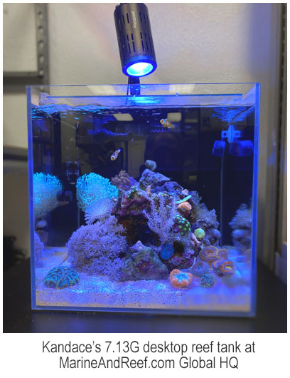 Reefing on a Budget