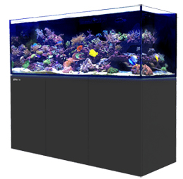 What is Absolutely Needed For A Reef Aquarium