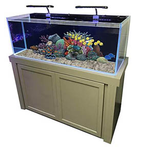 what is absolutely needed for a saltwater fish-only aquarium
