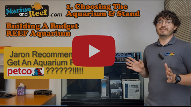 Part#1 Choosing The Aquarium & Stand: Building A Budget Reef Aquarium